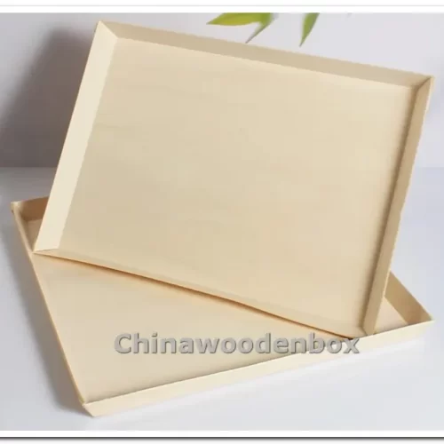 Disposable Deli Tray with Clear Lid - 10.7X14.9X1"